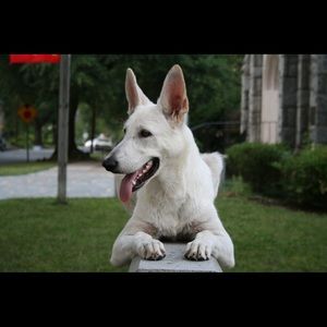 Meet your Posher, Laurie g